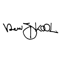 newskool_logo